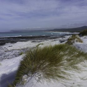 Beach Scene Tasmania